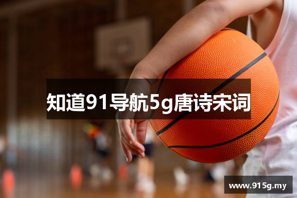 知道91导航5g唐诗宋词